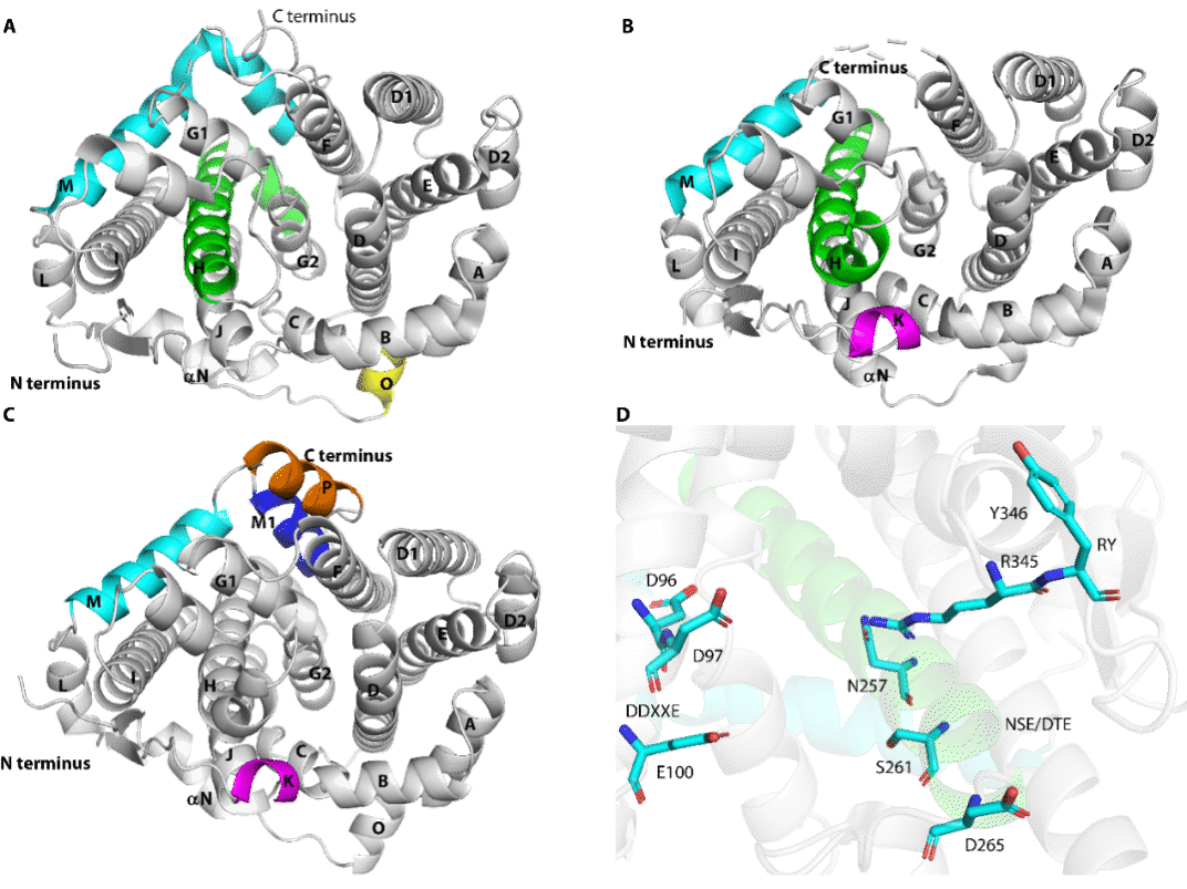 9F40F0DEDC68255D28461218348_103769E3_3B006