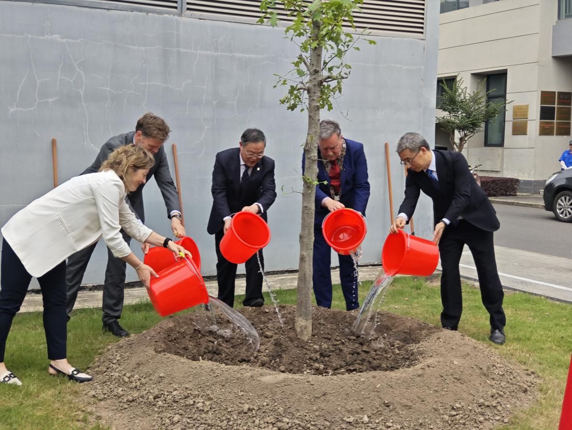 56D8B959F5CDBAA1E720714AAE6_3588910D_2EDD5